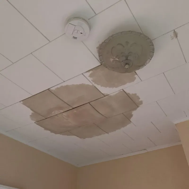 Ceiling Water Damage Repair in Todd County, KY