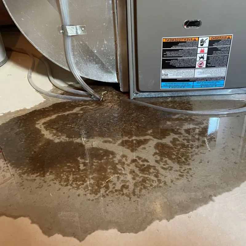 Pipe Burst and Leak Restoration in Todd County, KY