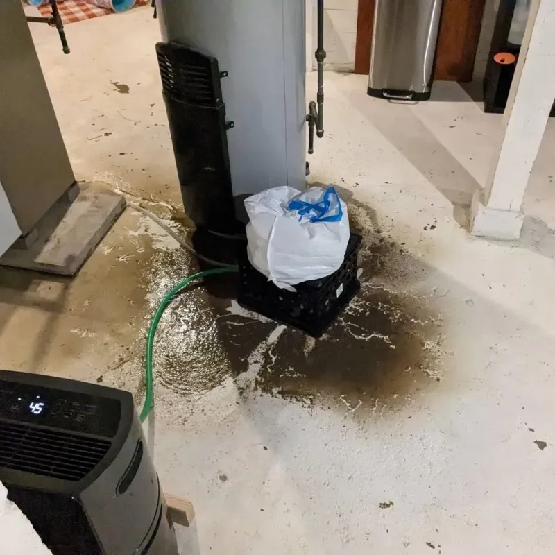 Sewage Backup Cleanup Service in Todd County, KY